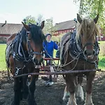 Fokhol Gard Stange